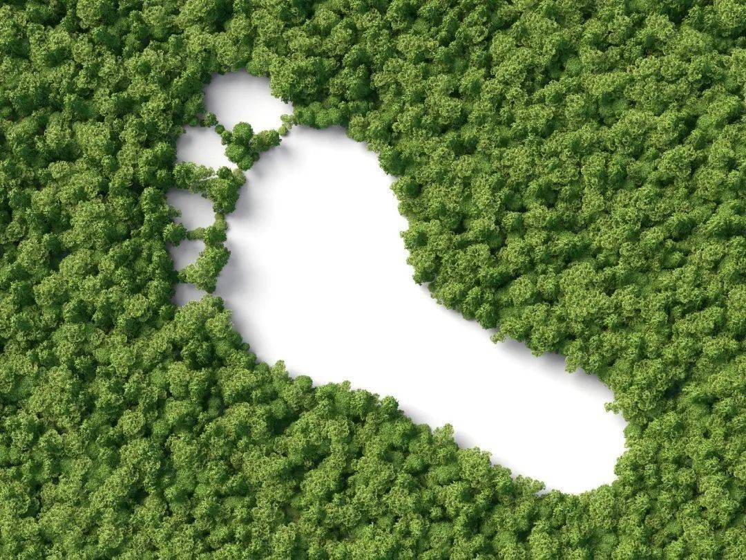 Carbon Management